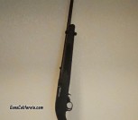 Ruger 22 rifle 