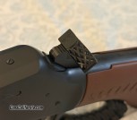 IMG_1146