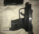 Ruger Lcp Max .380