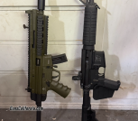GSG 22lr/ Delton ca AR15